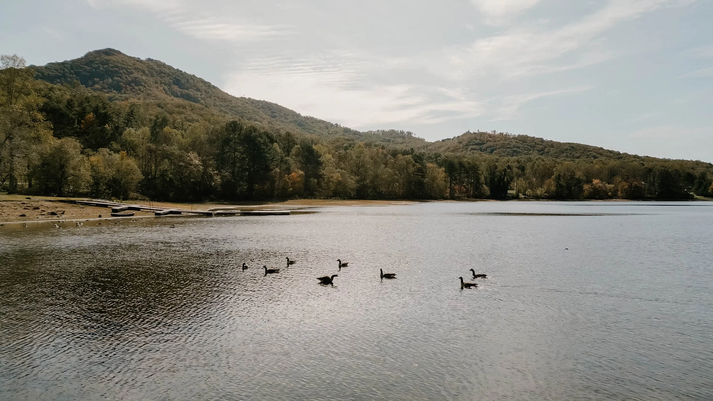 DJI_0081-1.jpg