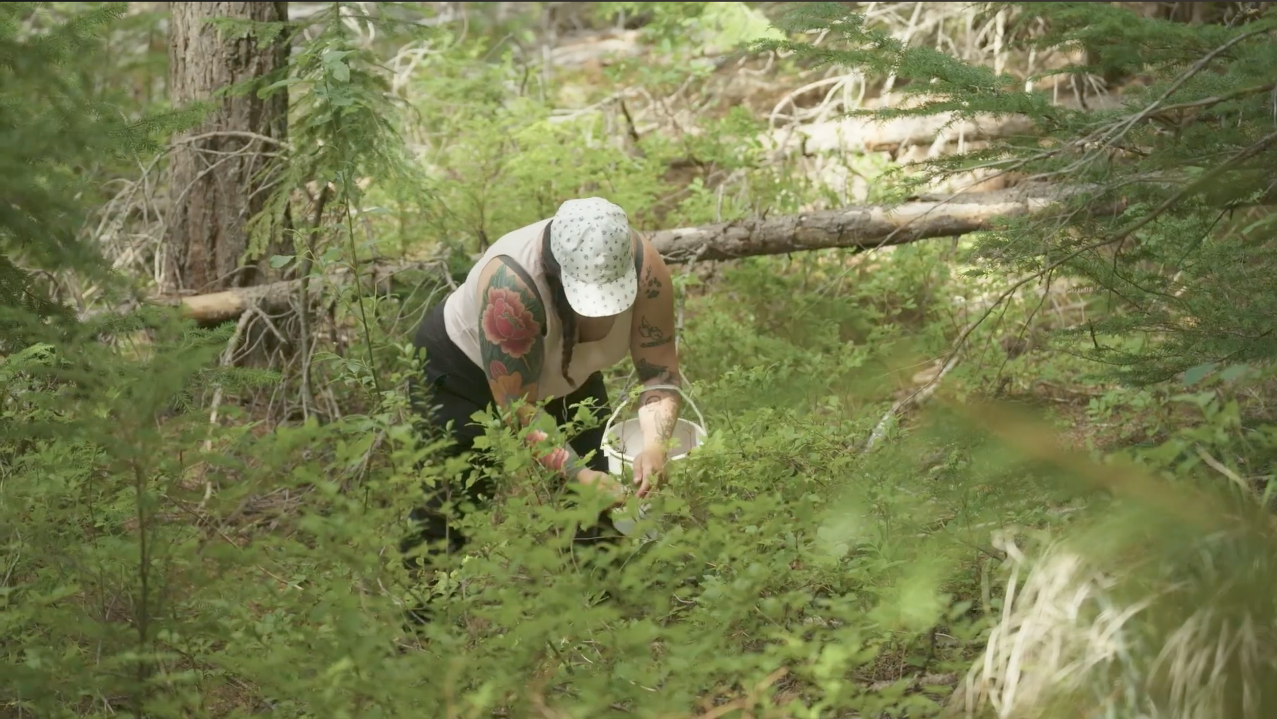 Screen Shot 2025-12-10 at 8.13.45 PM.png