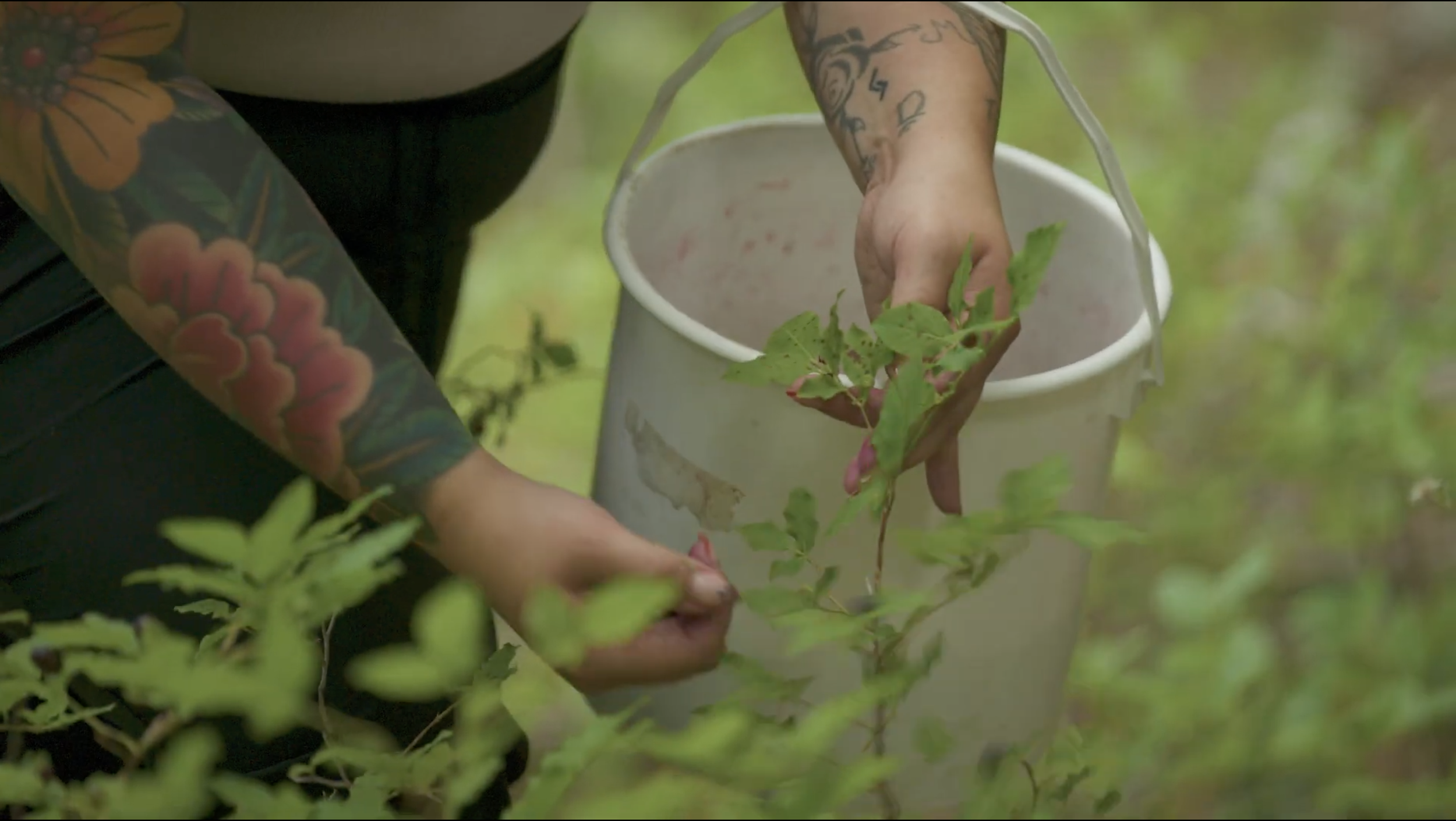 Screen Shot 2025-12-10 at 8.02.45 PM.png