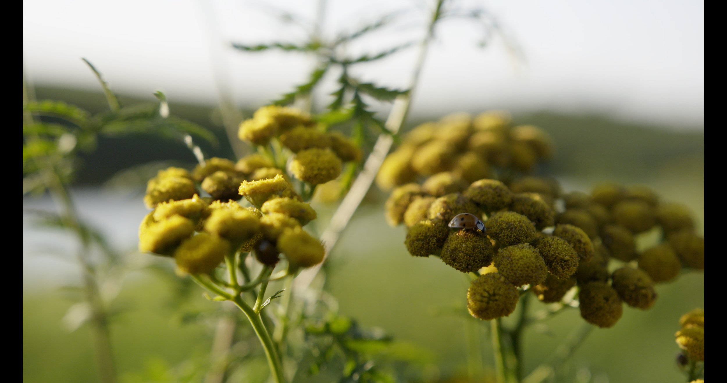 NatureofThings02.jpg