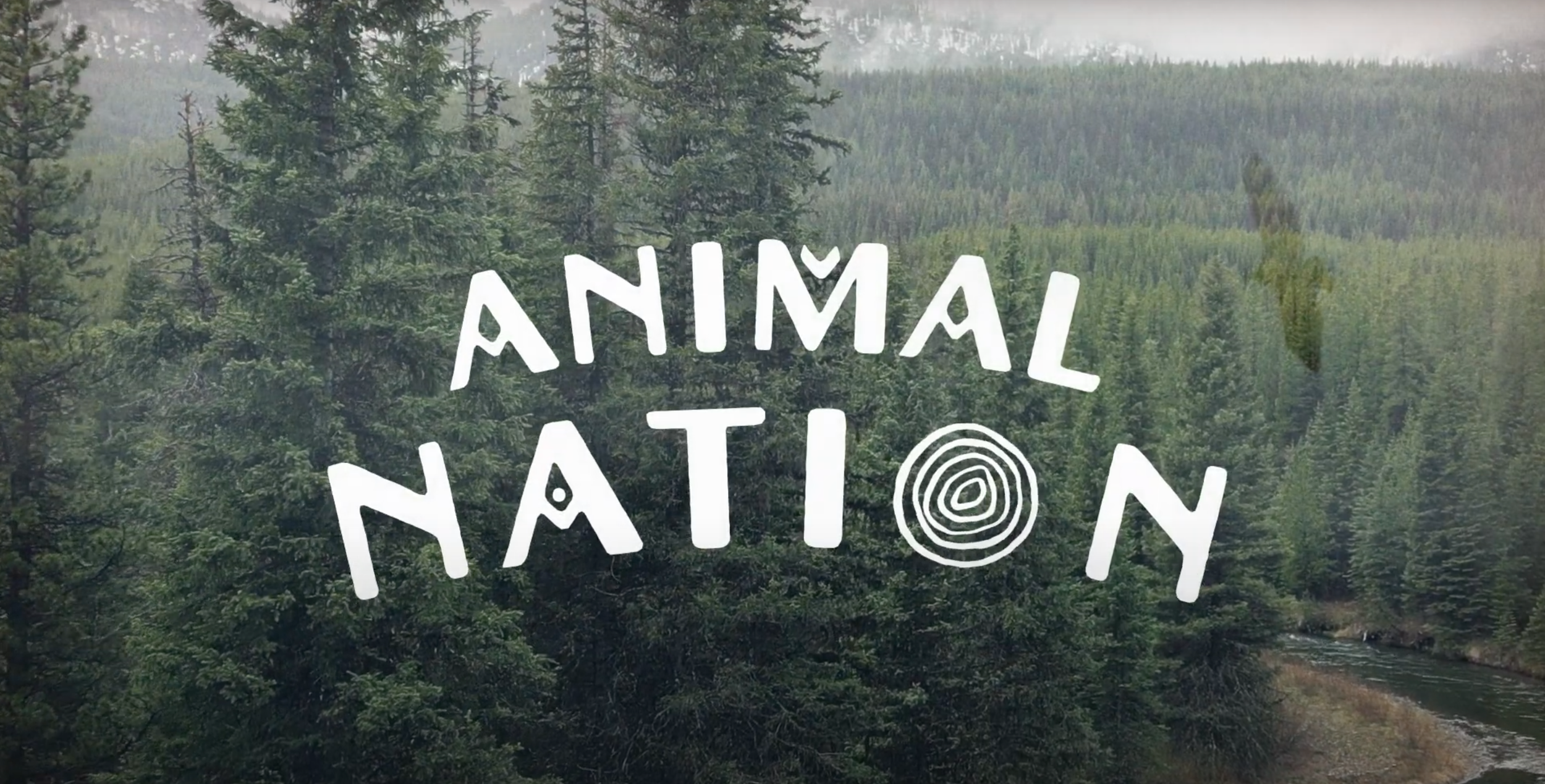 Animal Nation