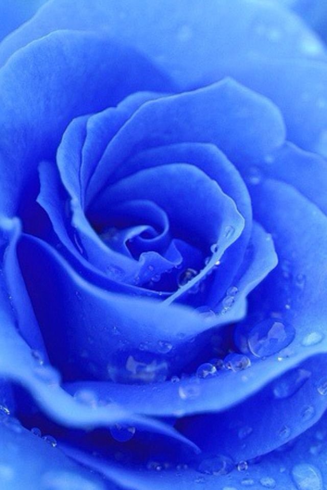 Love gives from within