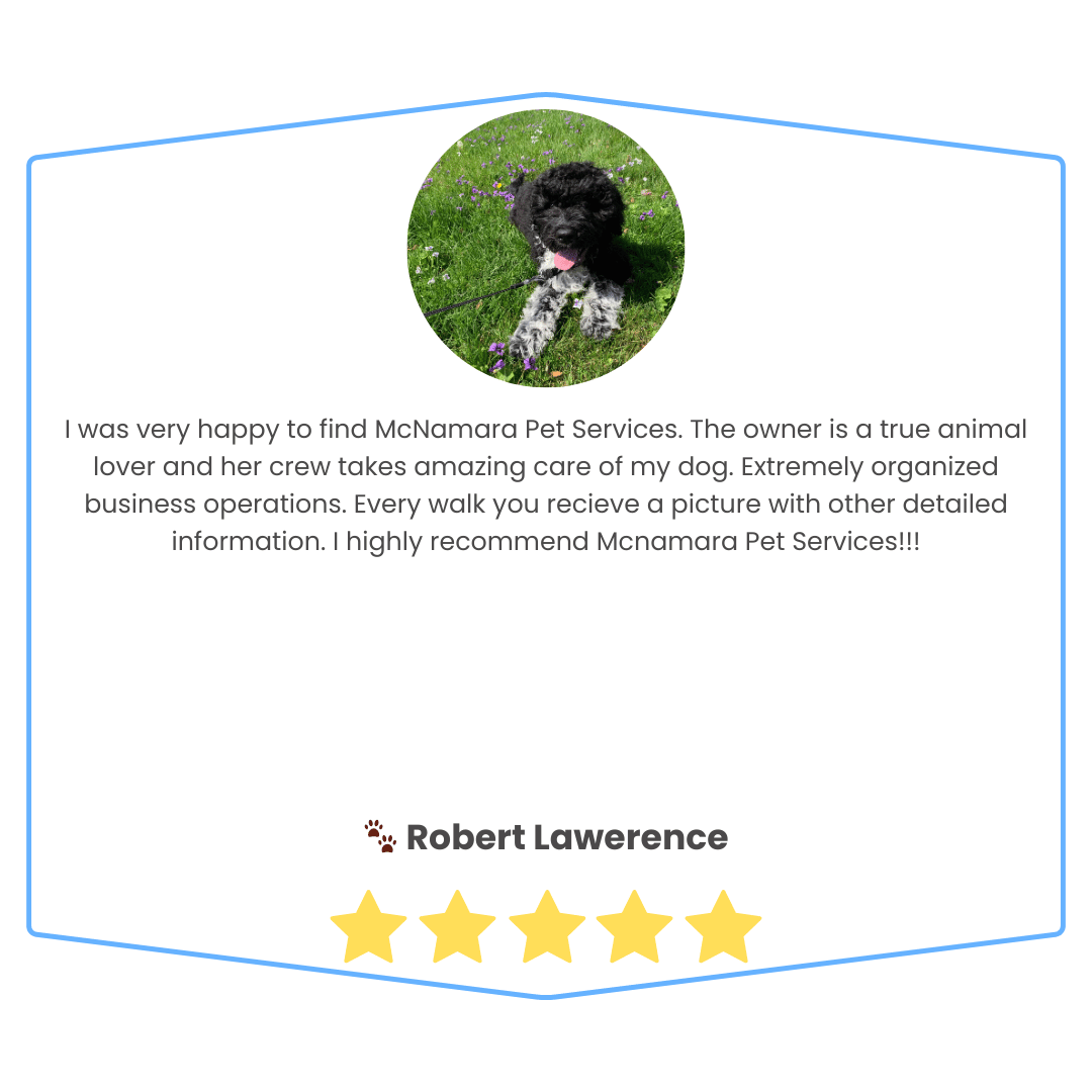 Customer review with a circular photo of a black poodle puppy lying on grass with purple flowers, text describing positive experience with McNamara Pet Services, and a five-star rating below the name Robert Lawrence.