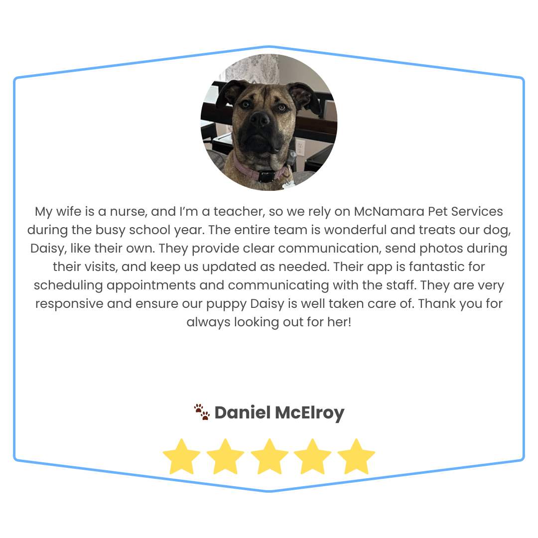 A digital pet service review featuring a photo of a brown and black dog named Daisy, with a five-star rating below the review.