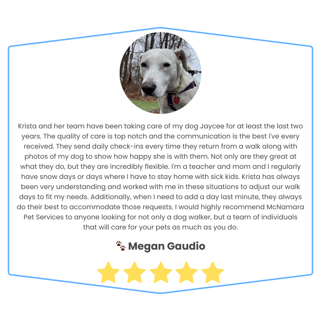 Testimonial card with a circular photo of a white dog with a black collar outdoors, a message praising pet care services, a name Megan Gaudio, and a five-star rating.