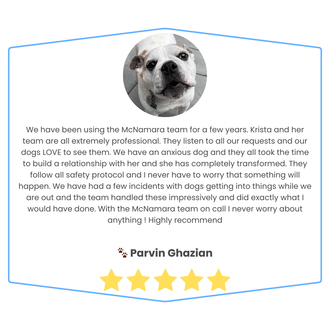 Customer review card with a photo of a dog at the top, a text testimonial about the McNamara team and their services, the customer's name 'Parvin Ghazian', and a five-star rating.