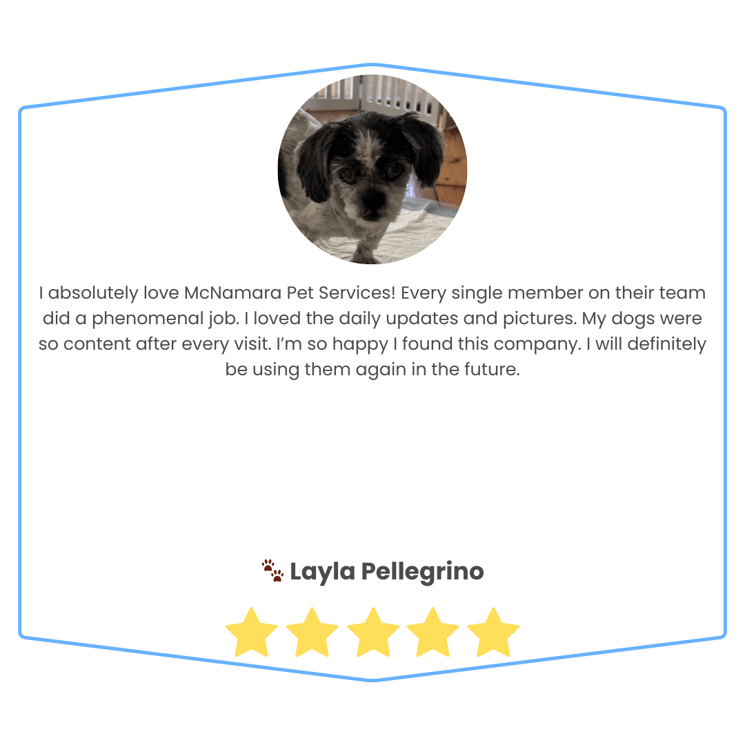Customer review with a circular photo of a small dog, positive five-star rating, and the review text praising McNamara Pet Services, signed by Layla Pellegrino.