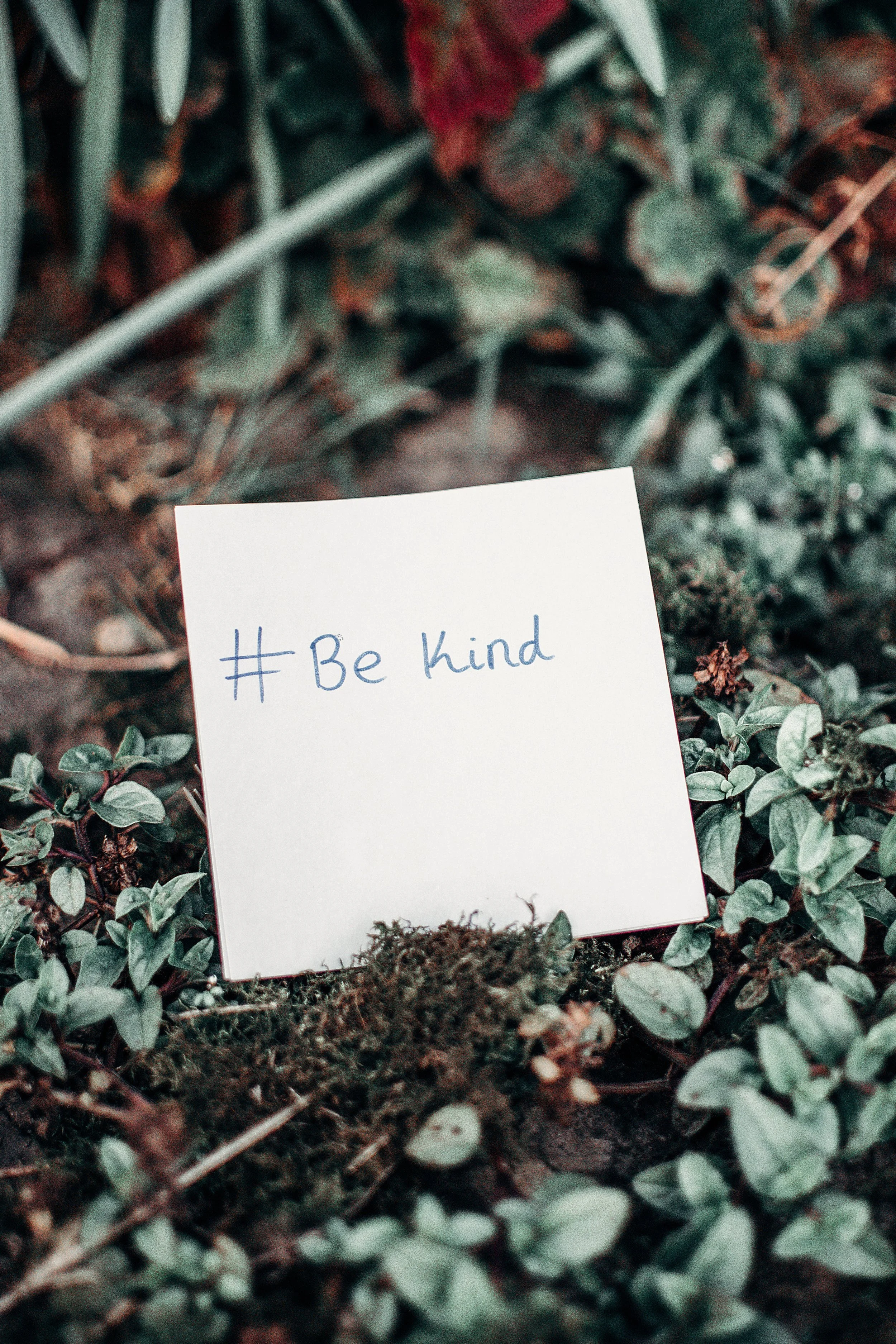 Why We Need to Focus on Being Kind Not Nice