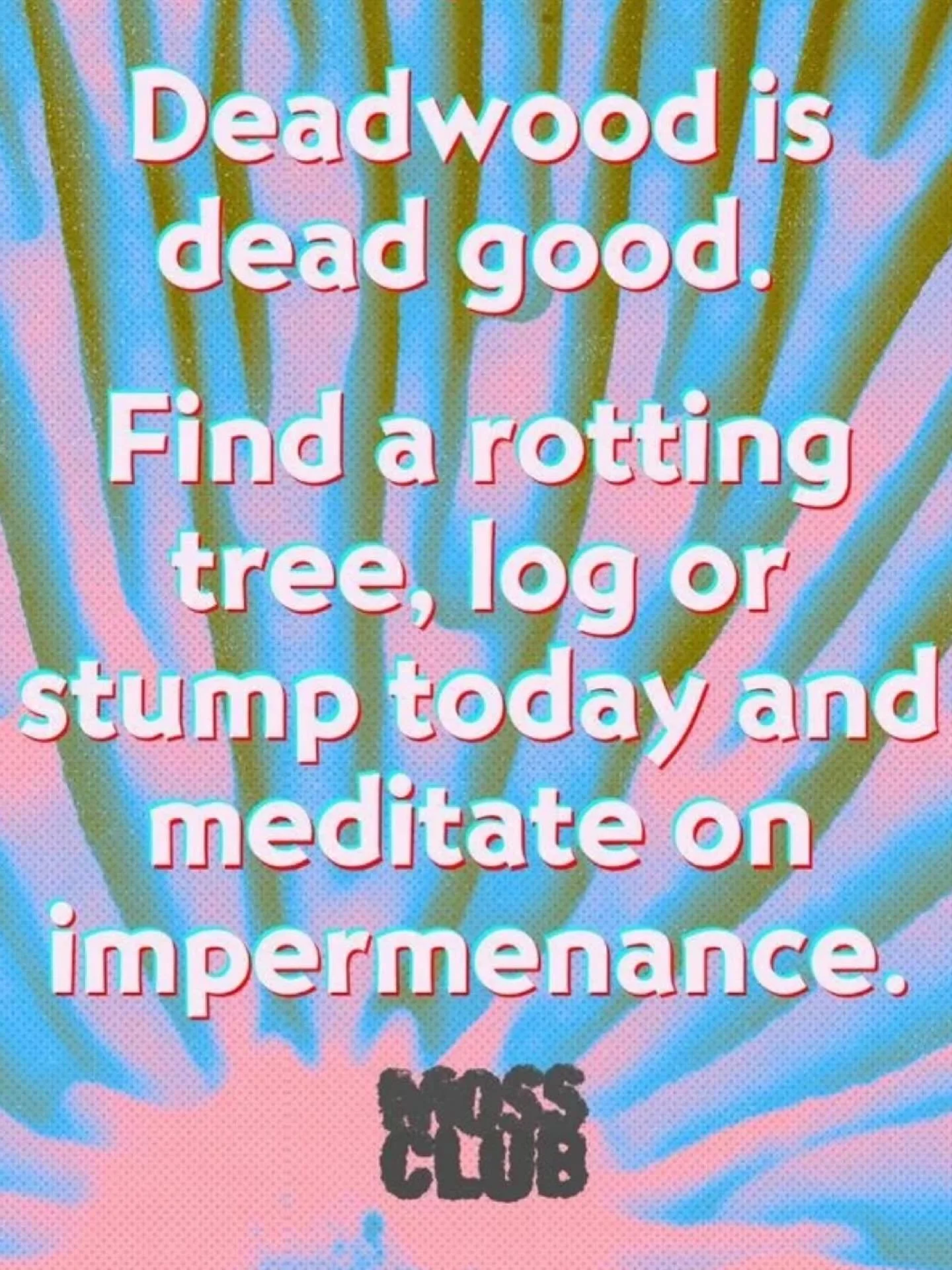 Are you overwhelmed, burnt out, always on?⁣
Trying to do too much? Caught in the productivity trap? Sick of the grind..? 🫩⁣
⁣
Then take a leaf out of nature&rsquo;s book 🌿⁣
⁣
Be more tree, &lsquo;like a moss&rsquo;, less busy, more bee &ndash; beca