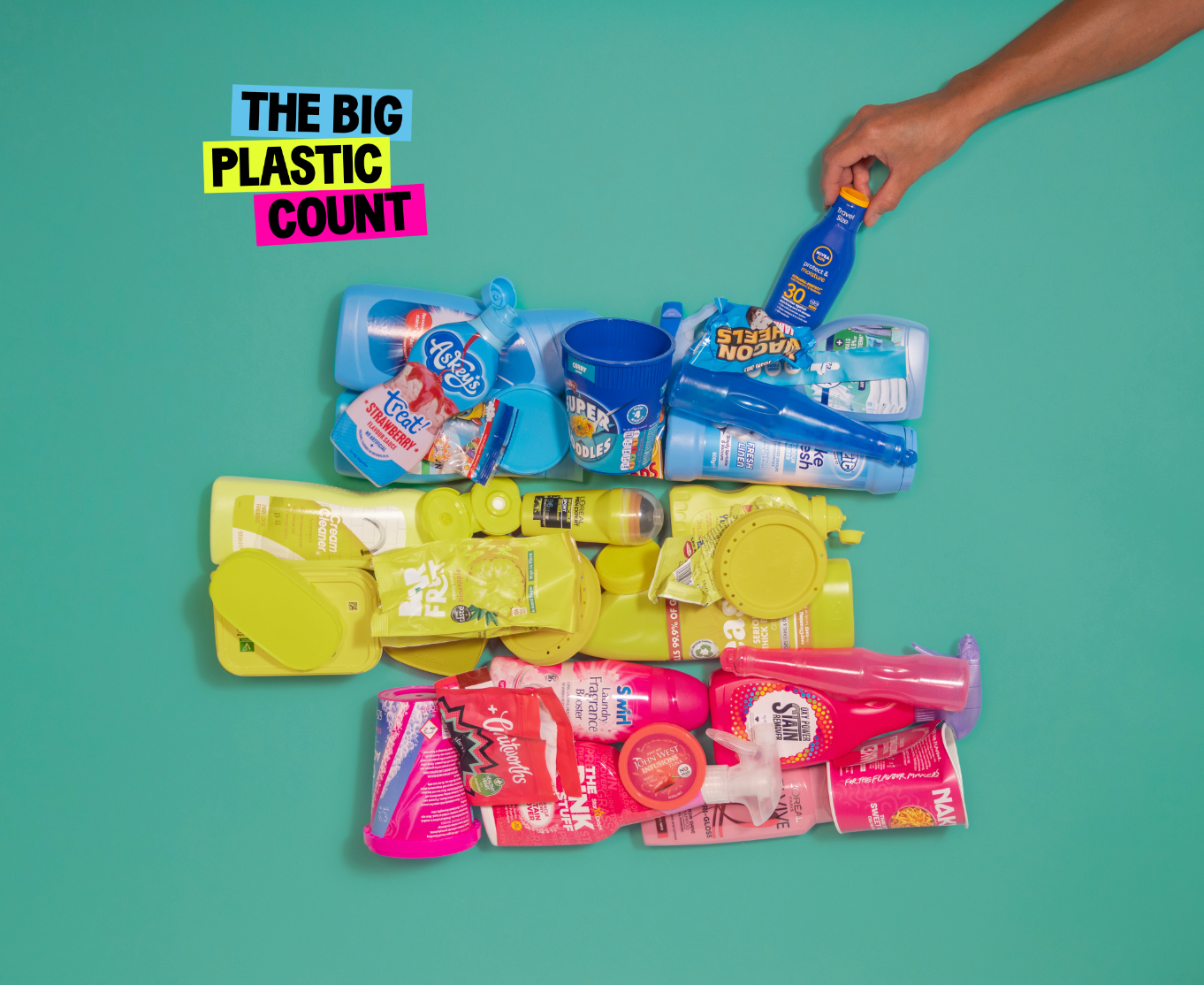 The Big Plastic Count