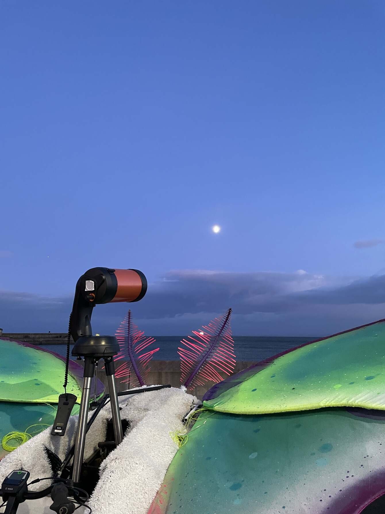 9-LUNA-moongazing-moth.jpg