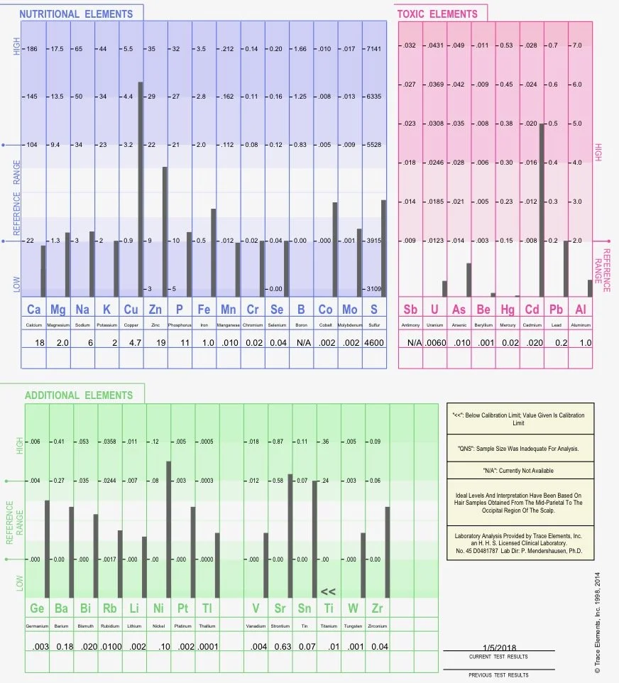 Hair Mineral Analysis Test