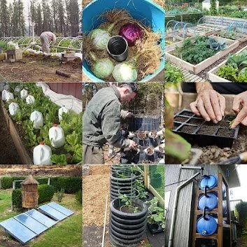 Turn your Backyard into a Bountiful Self-Sufficient Oasis