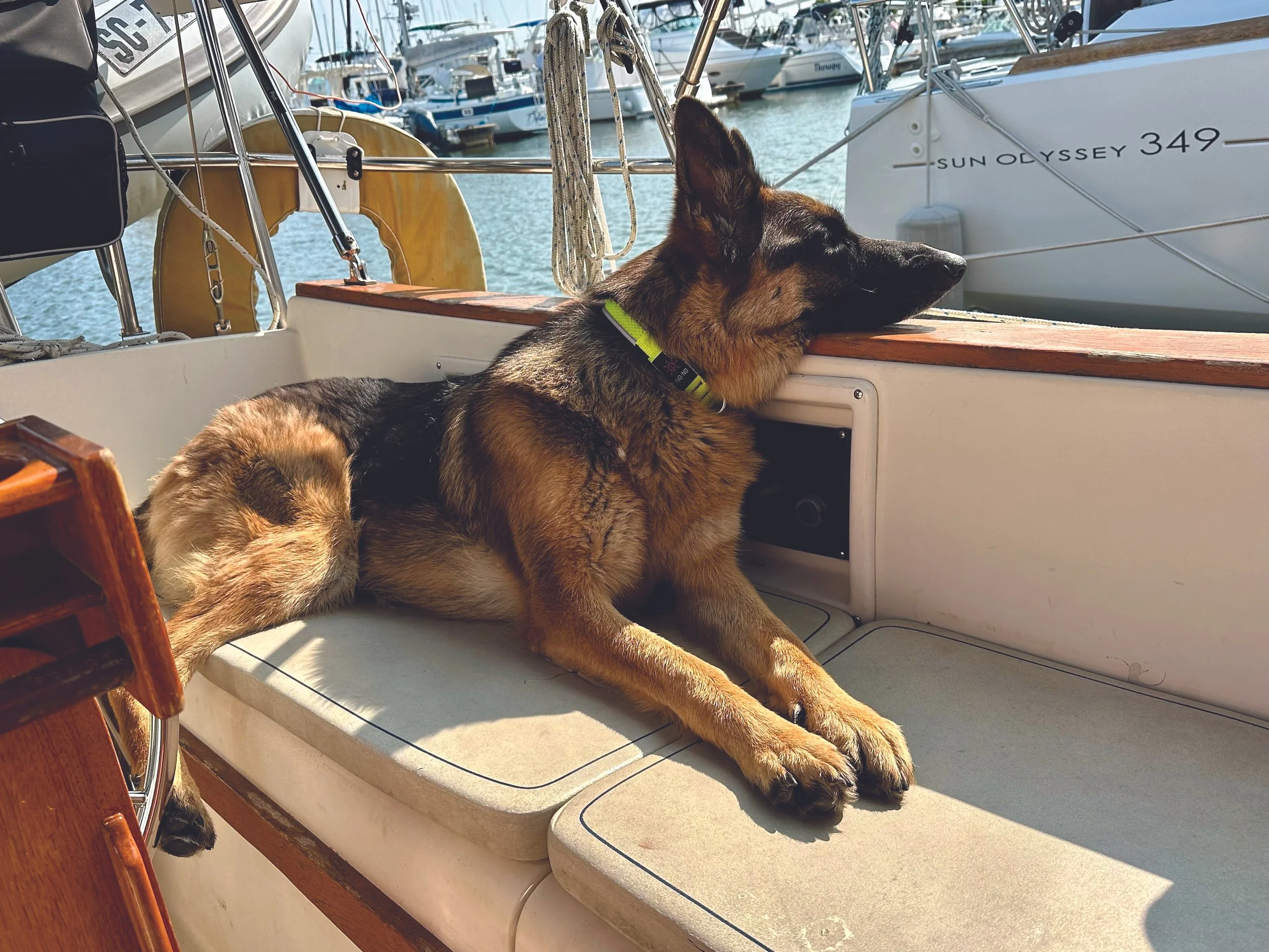 Pets On Board