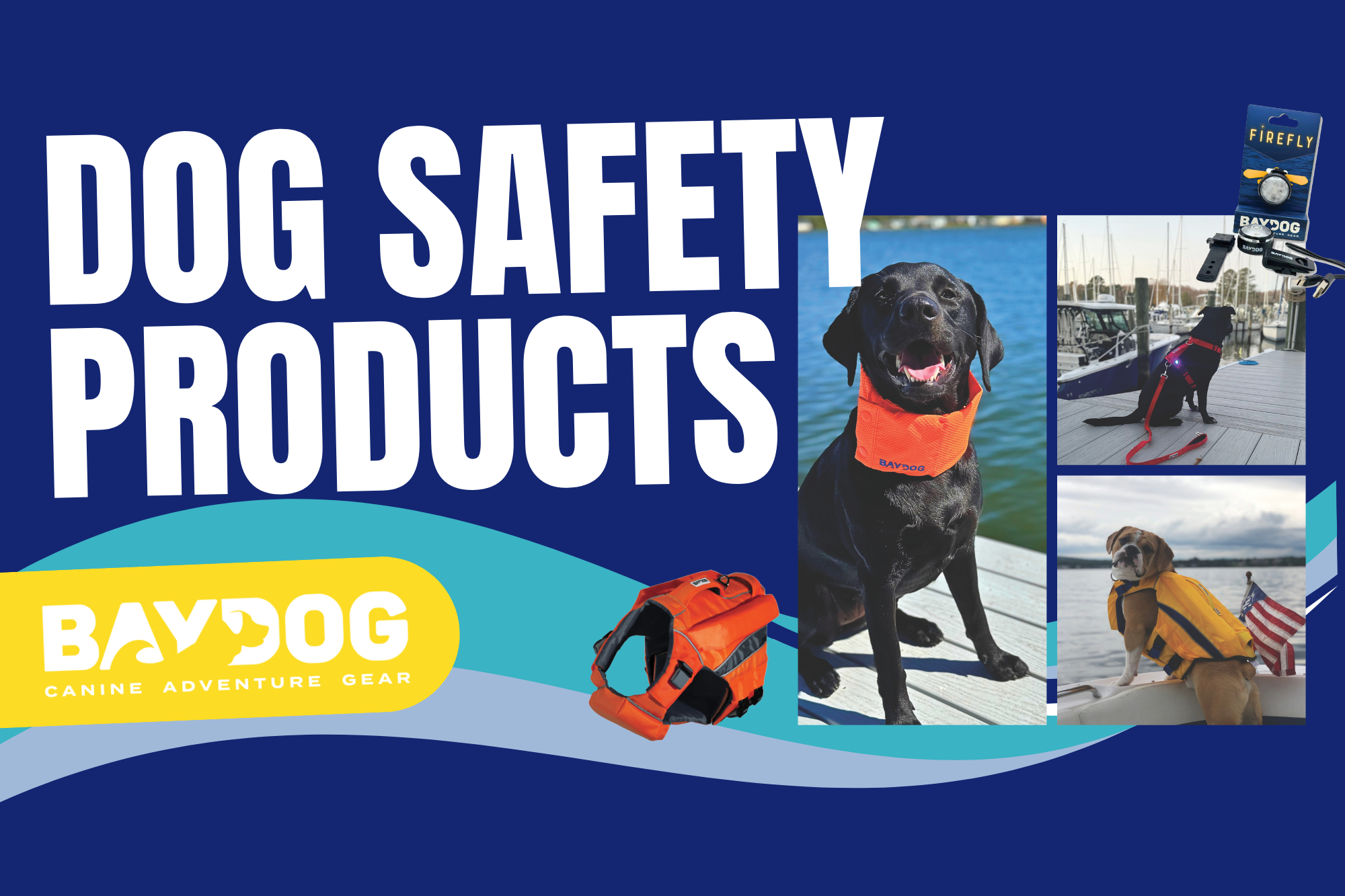 Ensure Your Dog’s Safety on the Water
