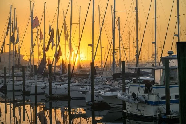 SSCA and Ladybug Event Brings Cruisers Together in St. Augustine