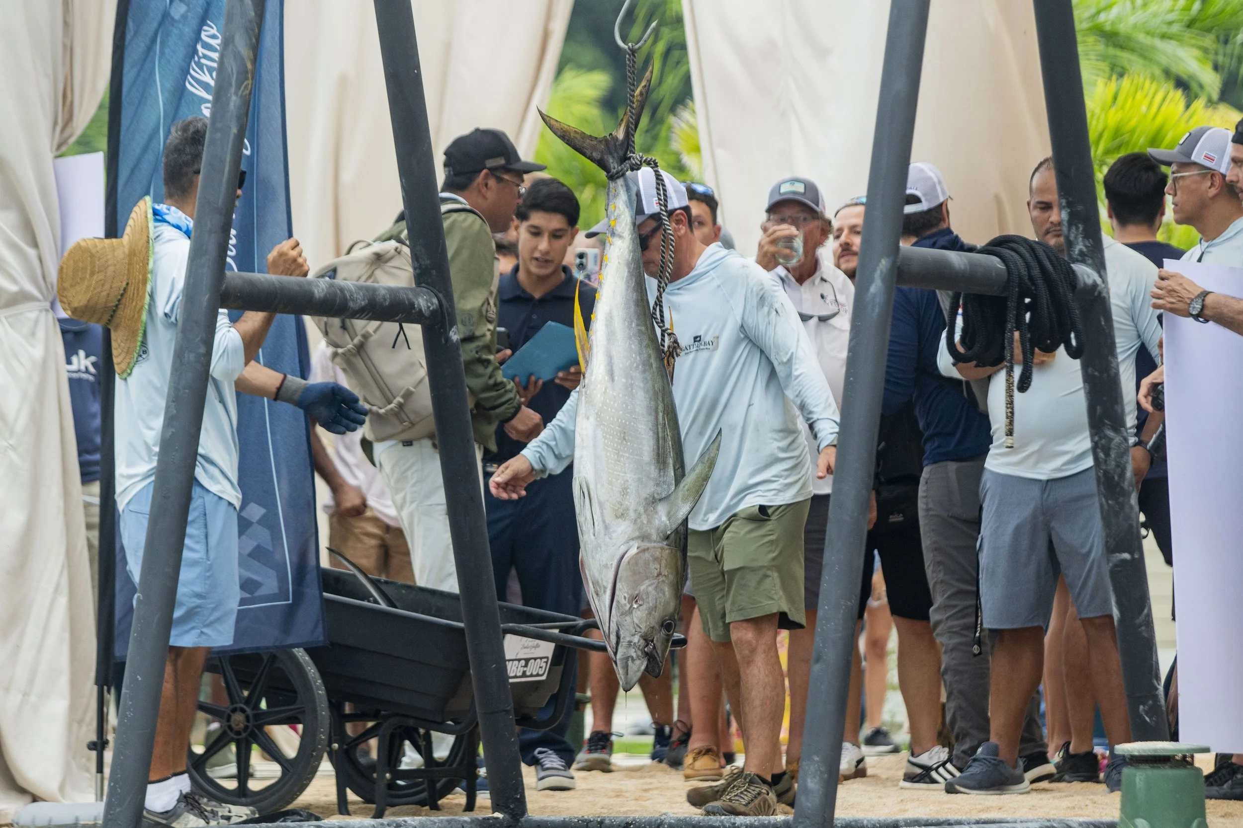 Marina Bahía Golfito newly hosts Battle of the Bay Sportfishing Tournament