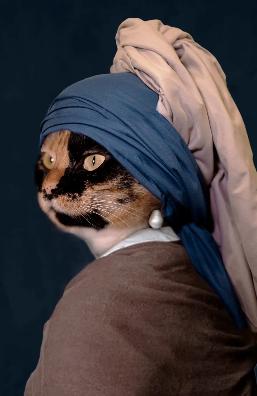 Collage of Art and Humor 2023