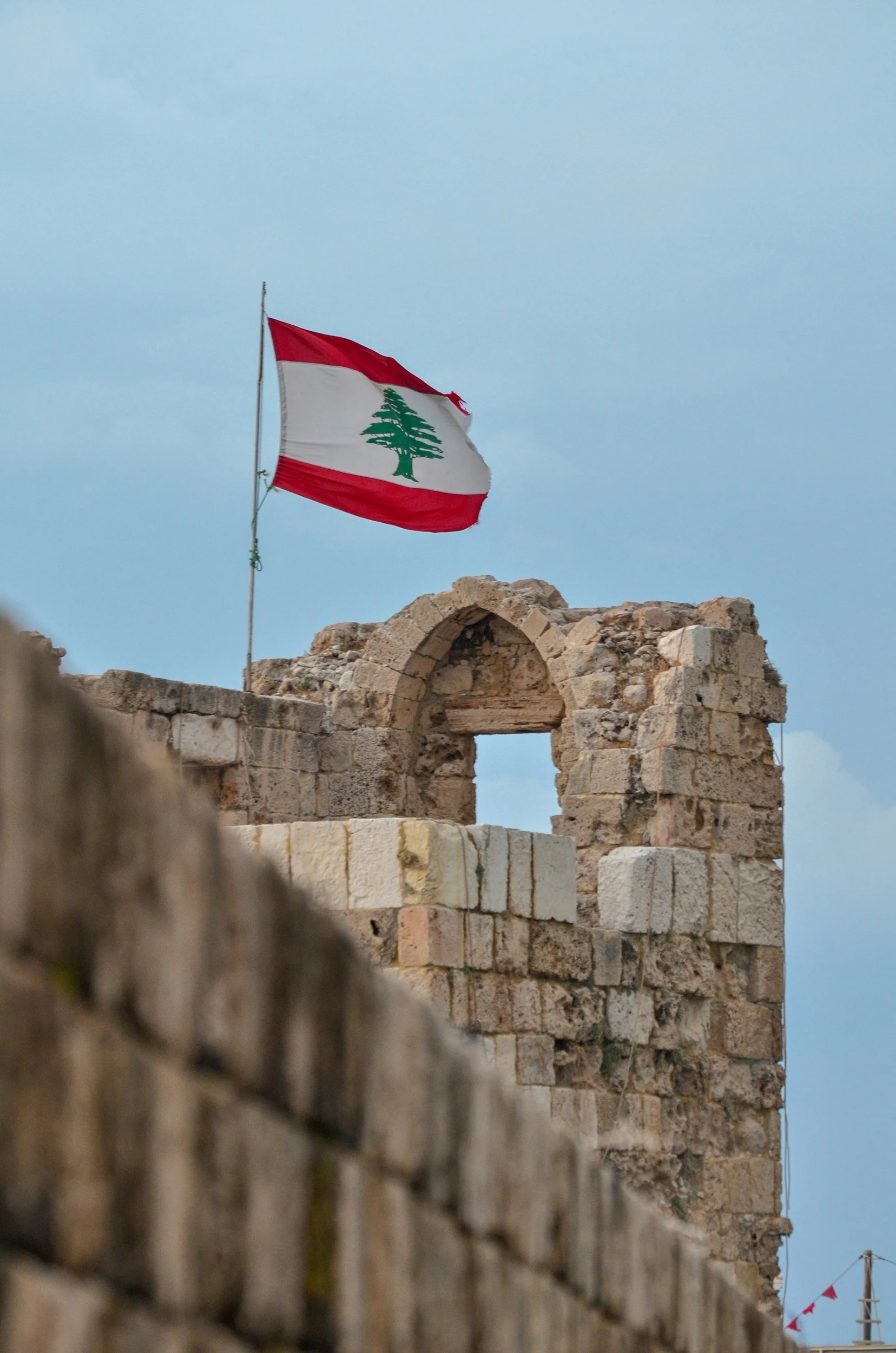 Mini-Report: The Lebanese Armed Forces and Disarming Hezbollah