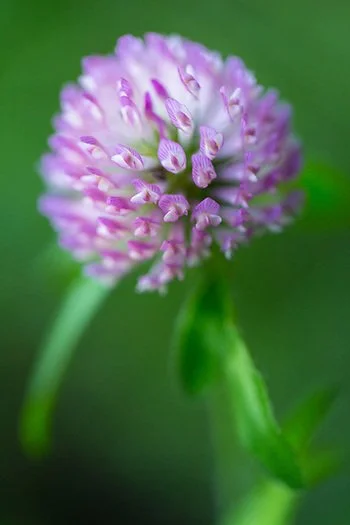 Weekly Share - May 11, 2018 Edition