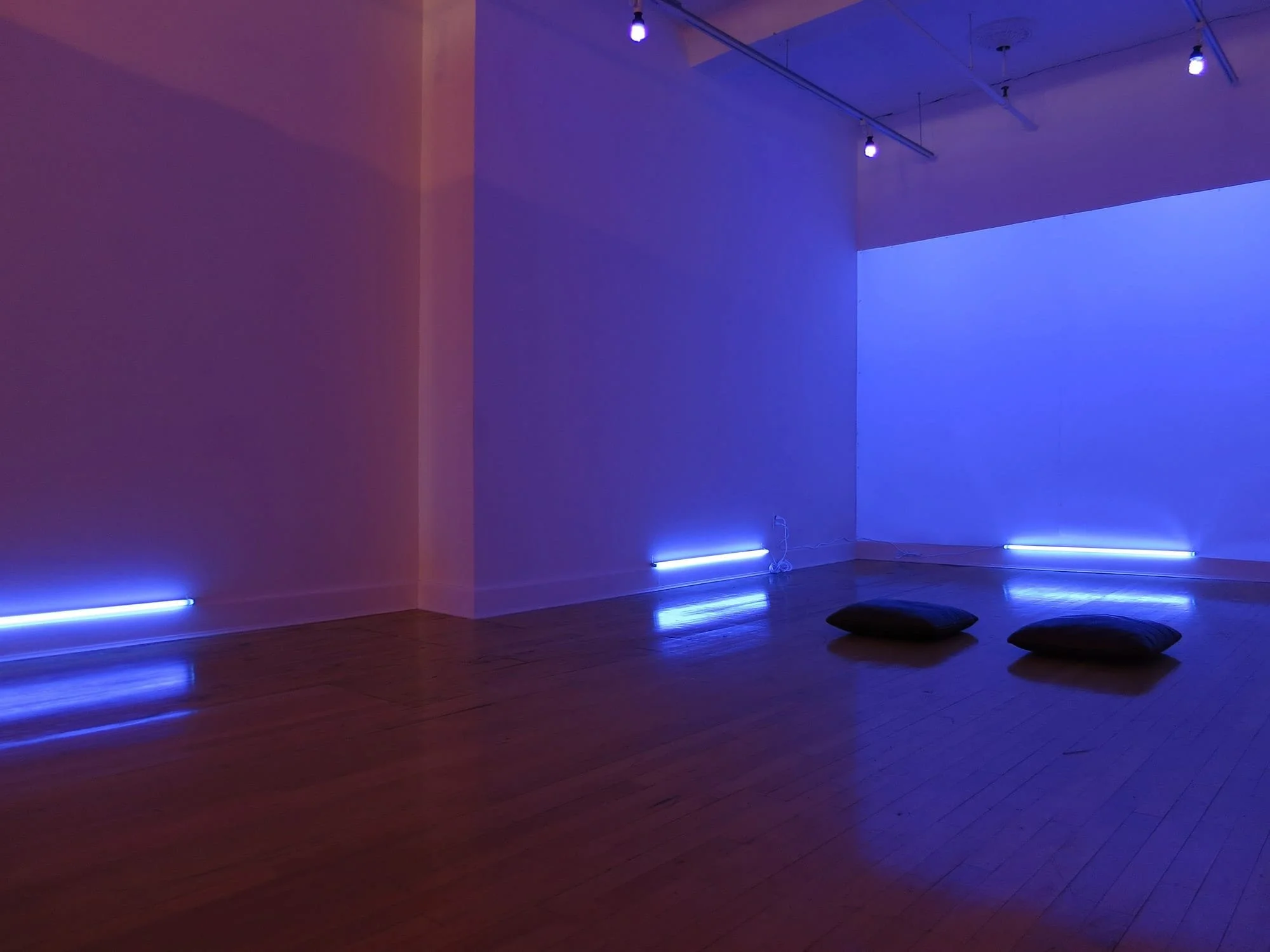 Awakening (Lightning Field) 1.0 at Sylvia Wald & Po Kim Art Gallery, New York, NY, 2012