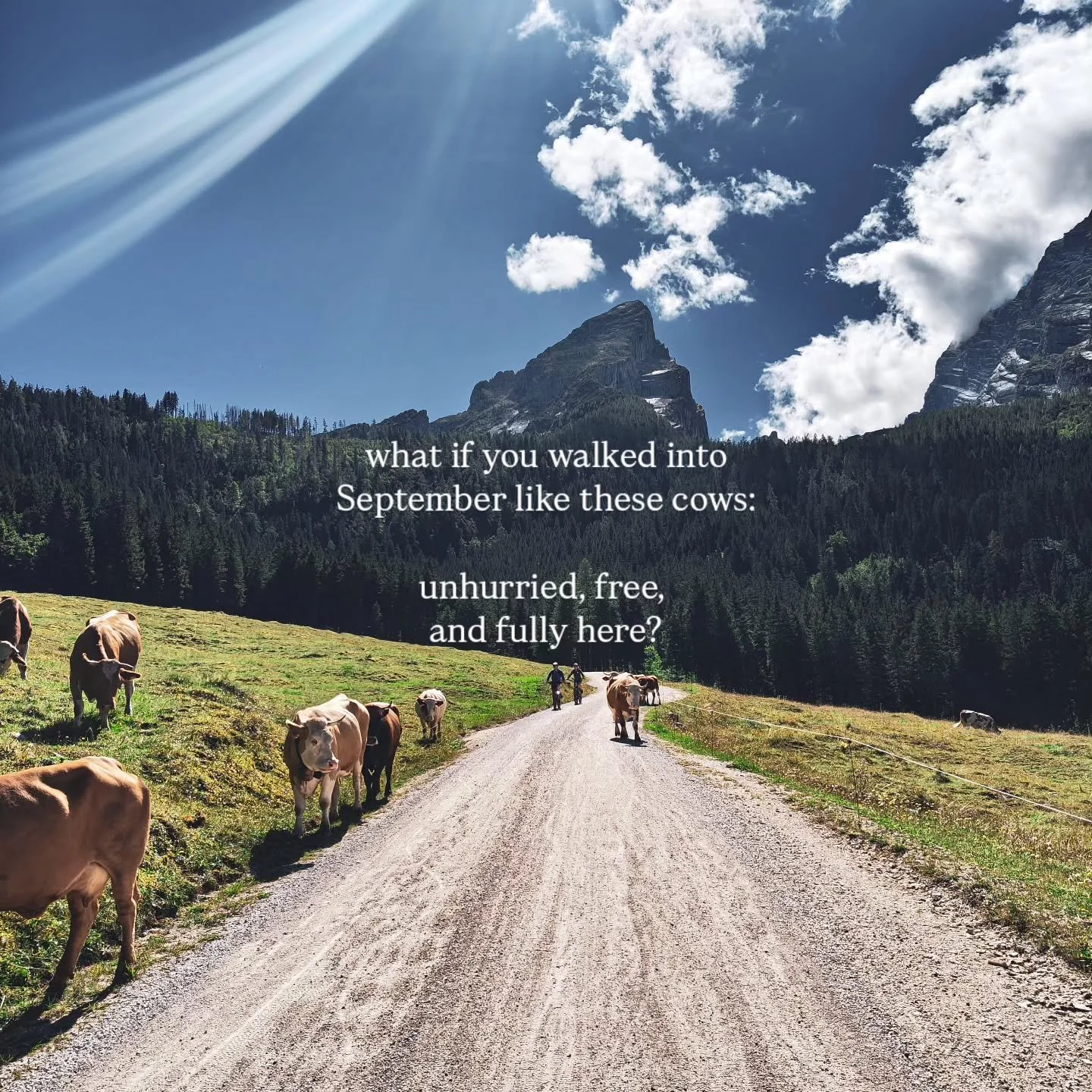 You are allowed to move at your own rhythm 🐄🌄

A little reminder for the start of September, from my heart to yours.