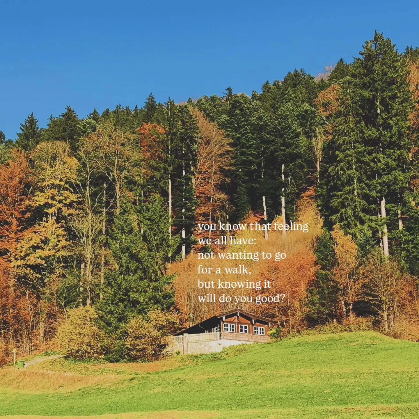 That moment when you know a walk would do you good, but you just don&rsquo;t feel like it. You&rsquo;d rather stay cozy inside, in your safe little bubble. But once you finally step outside, breathe in the fresh air, and feel the world around you&hel