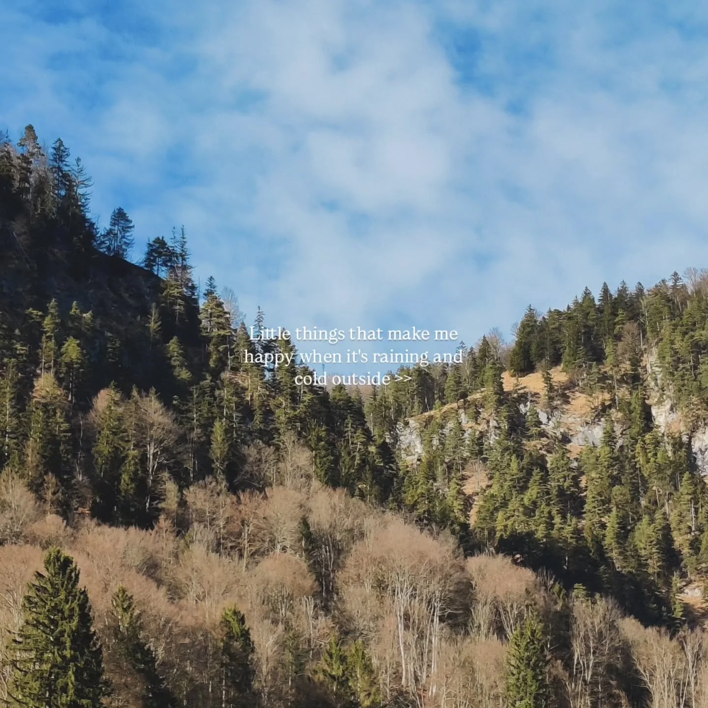 Rainy. Cold. Meh.

So I romanticize:
warmth
quiet
books that don't rush
cat paws
bubbles

🍯 It's always the little things &amp; raw honey, definitely raw honey

`
`
`
#romanticizethelittlethings