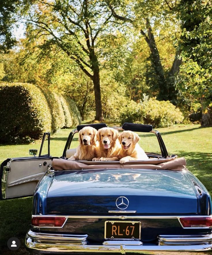 The Power of Authentic Content: Building Real Connections That Matter