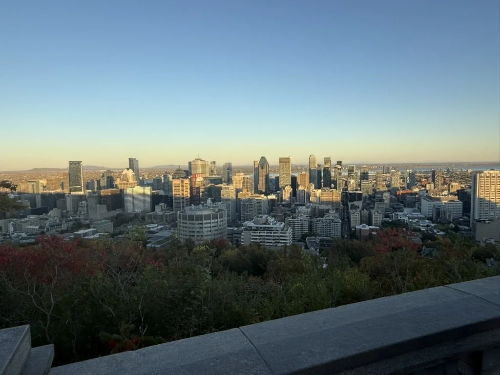 Copy of 46F6D58E-6EE2-4264-A8C1-732893CB46B5_1_105_c.jpeg