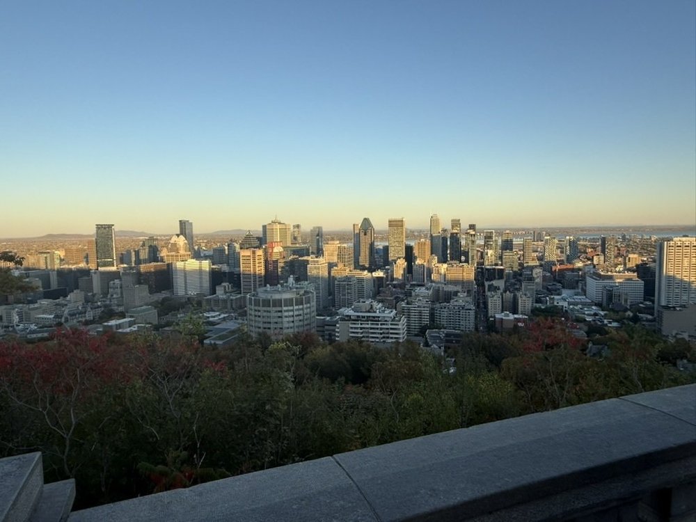 Copy of 46F6D58E-6EE2-4264-A8C1-732893CB46B5_1_105_c.jpeg