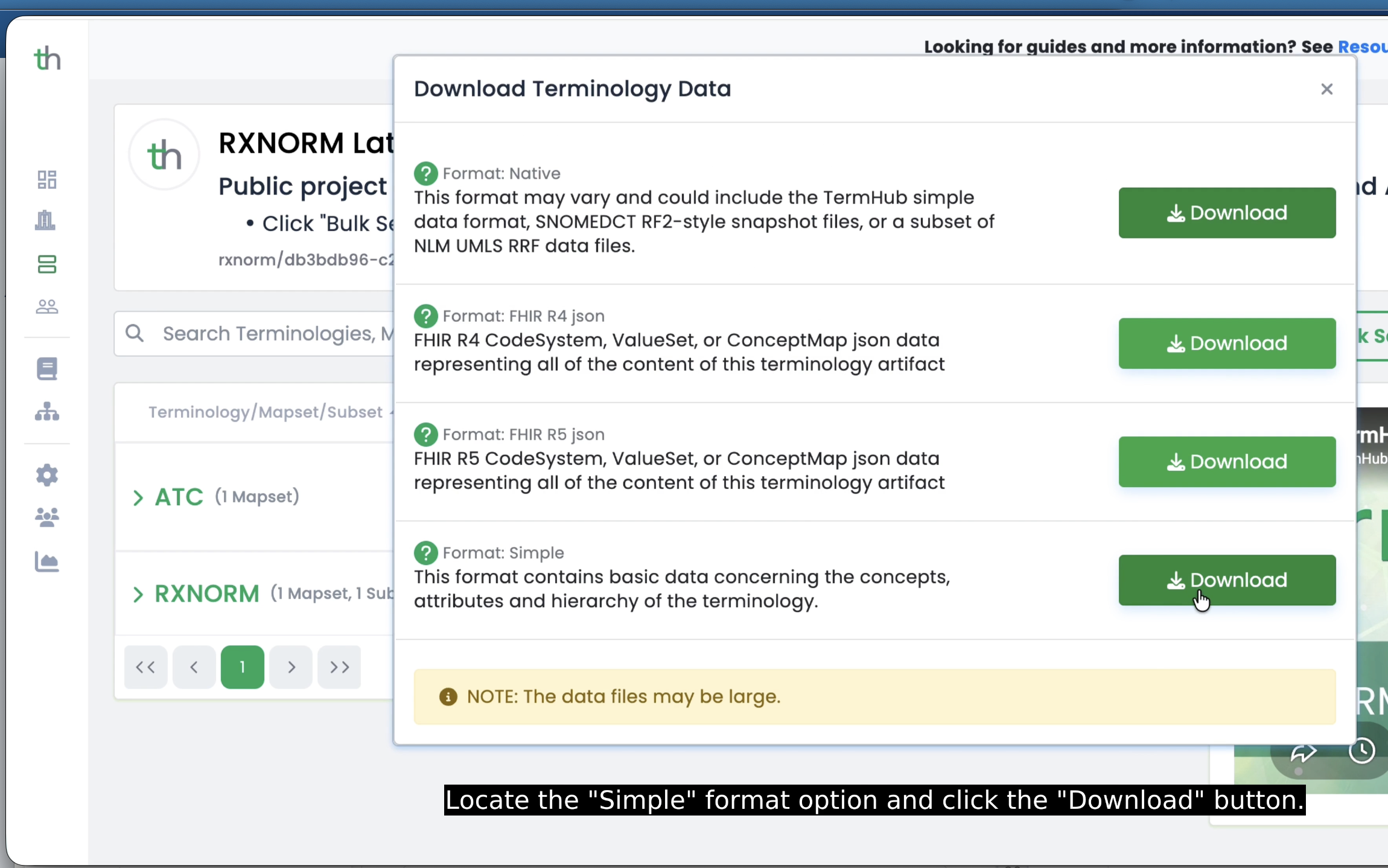 TermHub Download Terminology Data modal with Simple Data Format selected