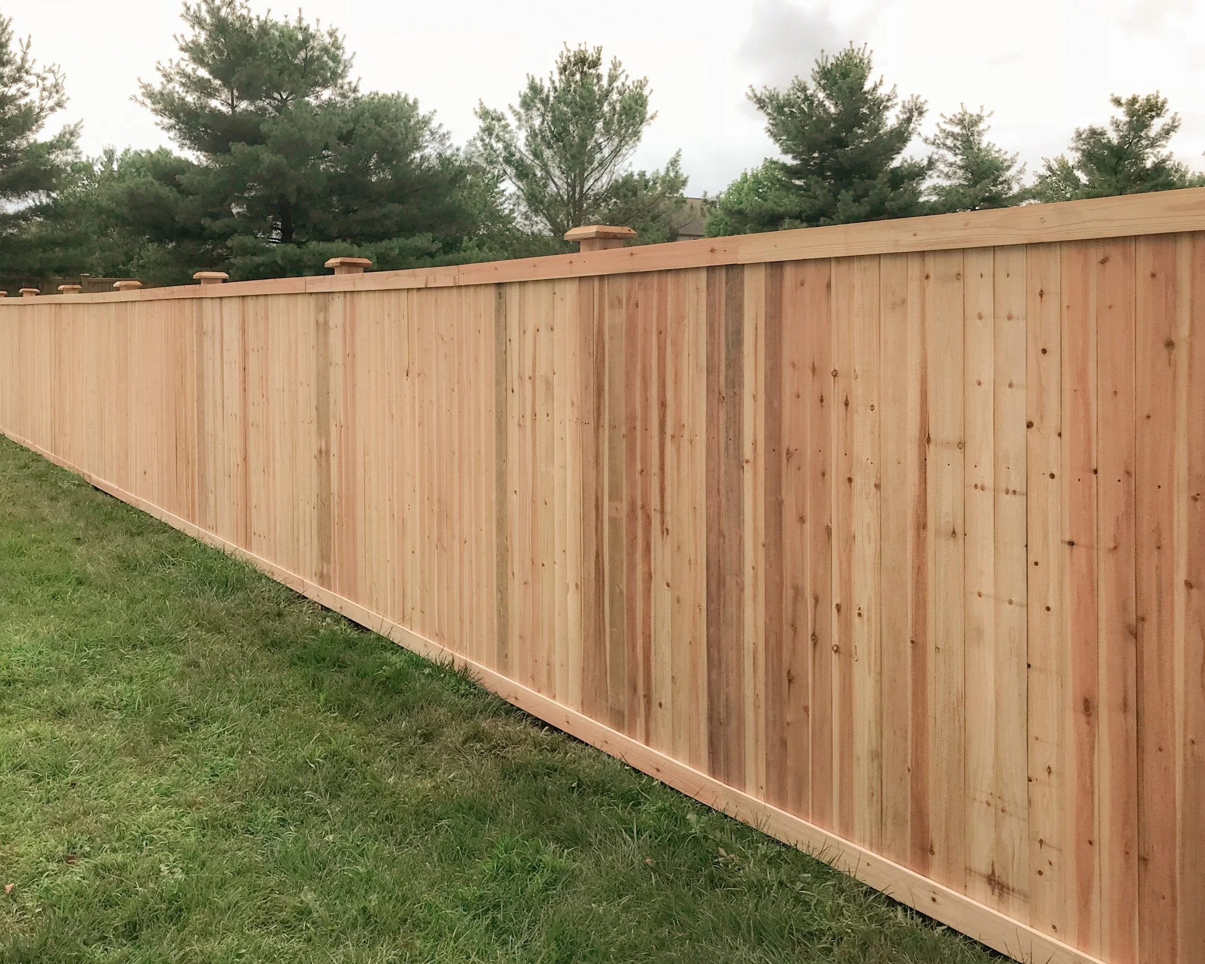 Fence-124.jpg