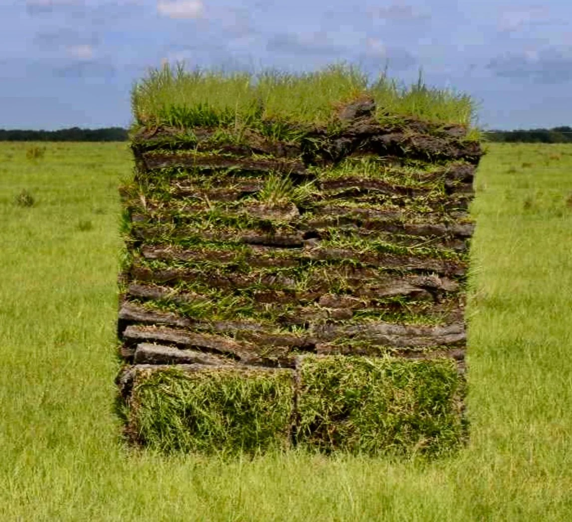 Pallets of sod