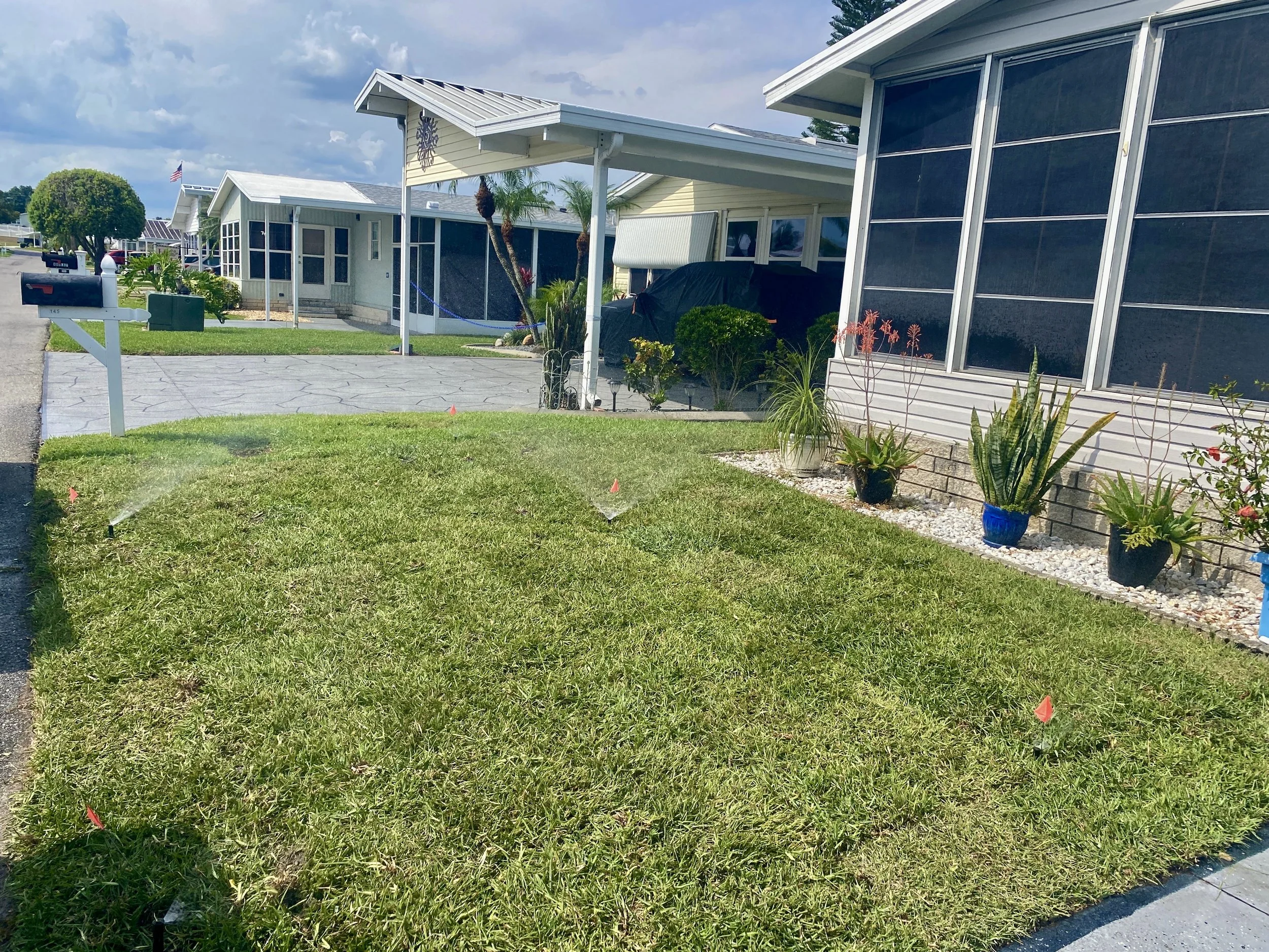 Cheap sod, Bahia, St. Augustin, sod removable, sod installation, 