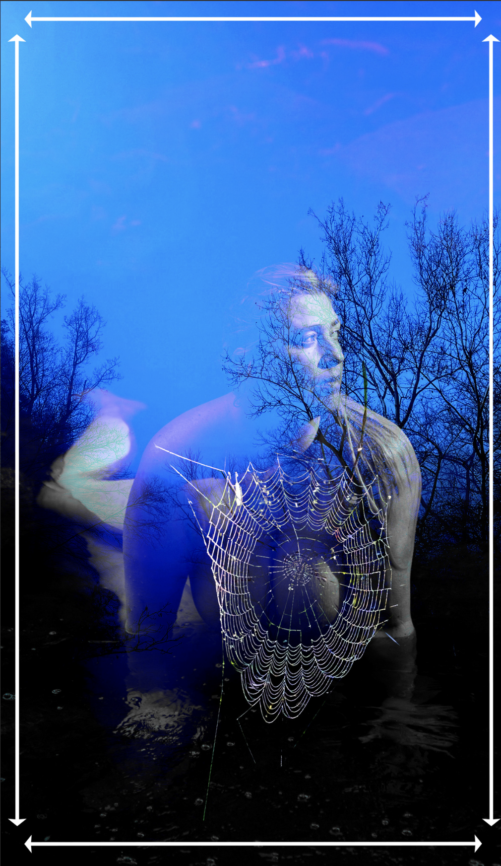 Wild Feminine Oracle.png