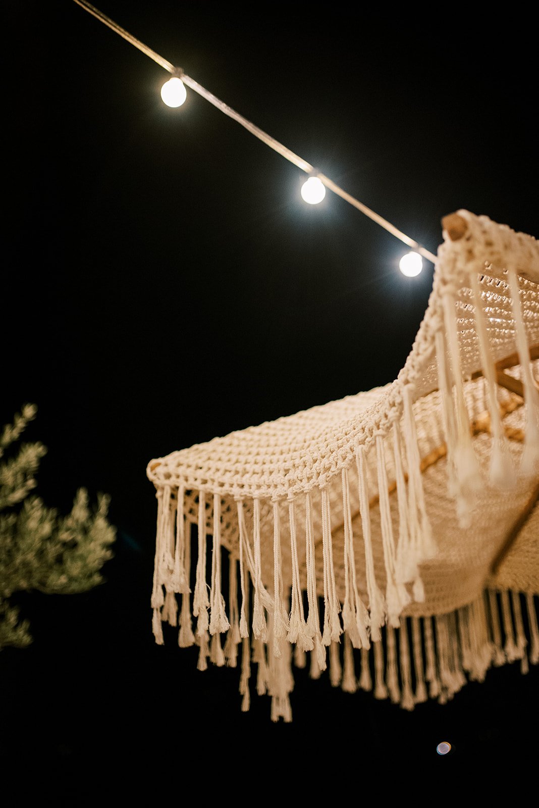 COLOR NO RESIZE-638_websize.jpg