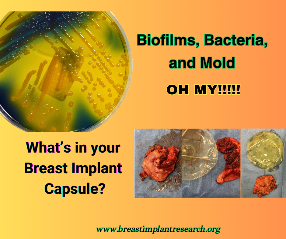 Biofilm, Bacteria, Mold