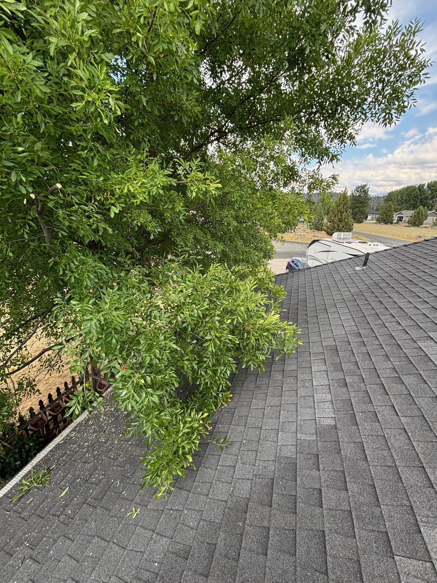 View of a house roof with gray shingles, large green tree overhanging, and a suburban neighborhood with houses, trees, and a street in the distance under a partly cloudy sky.