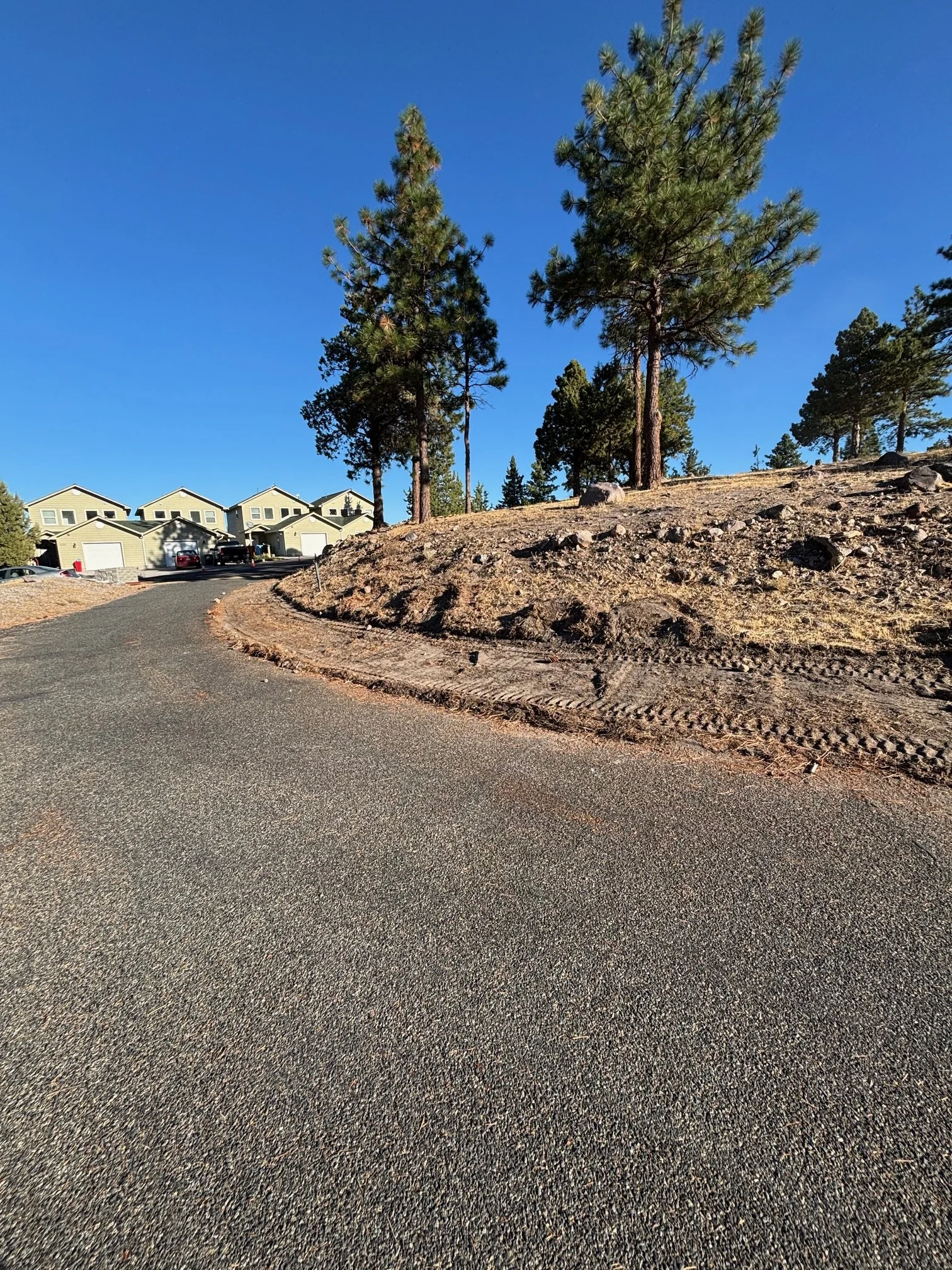 Residential neighborhood on a sloped street with green houses in the background and tall pine trees on a clear blue sky day.