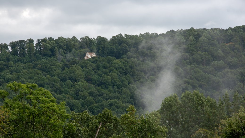 Stratus silvagenitus (St sigen)