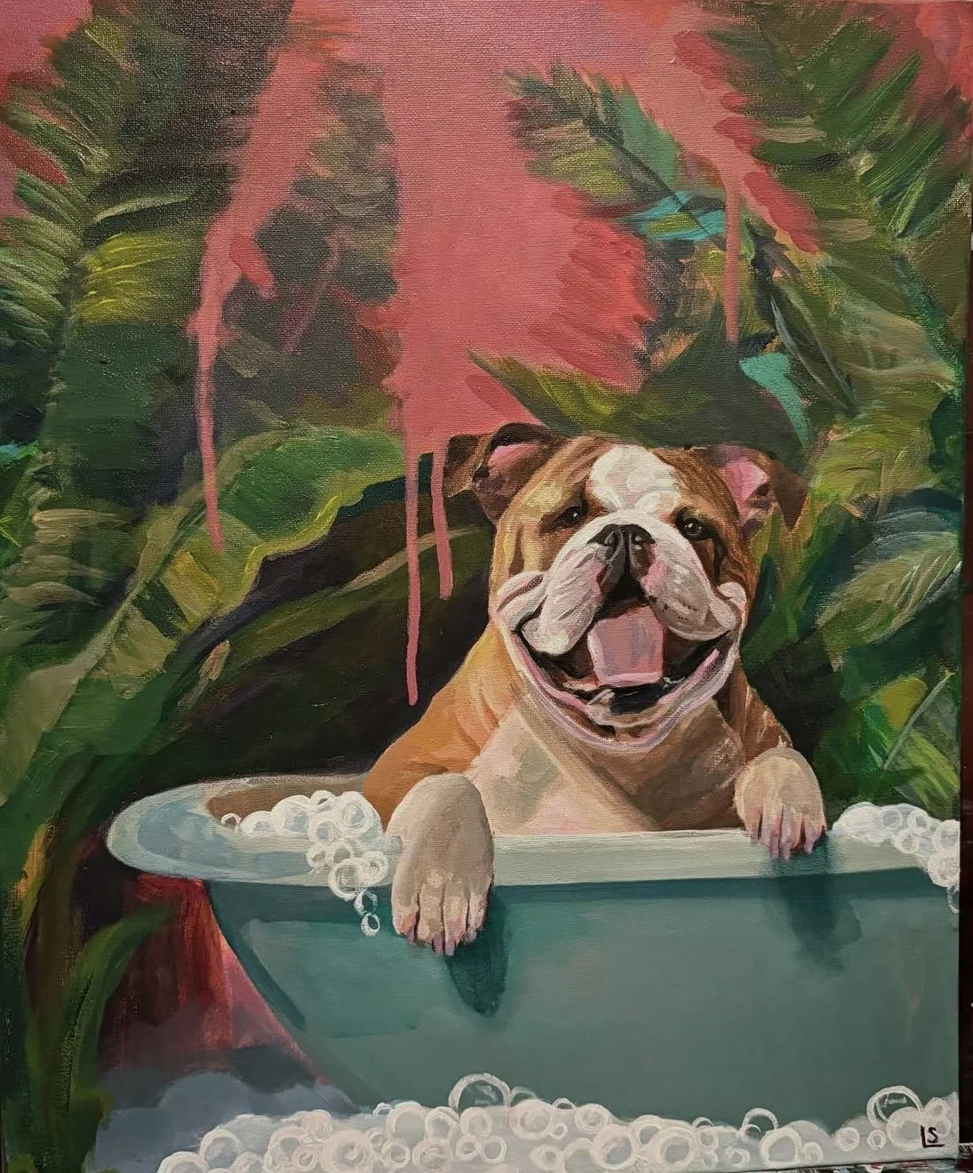 Oasis
