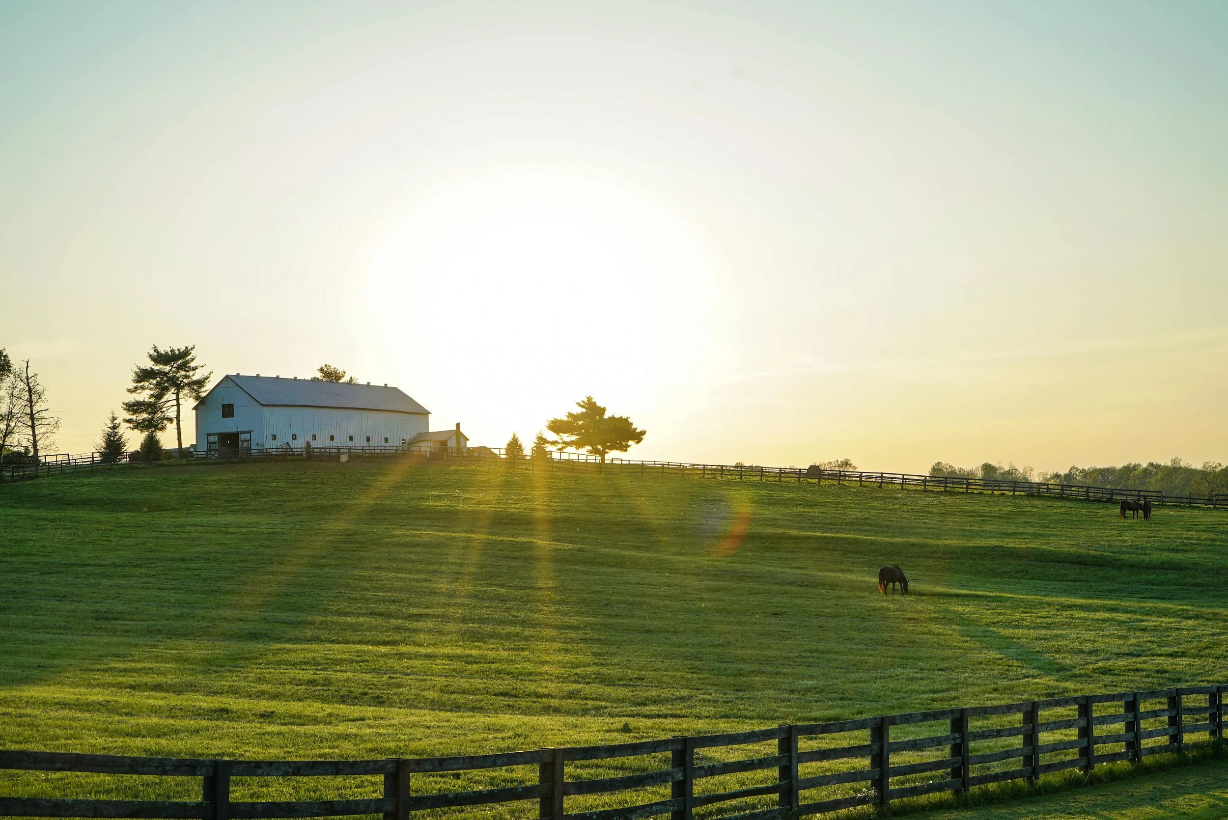 Case Study: Bridging States and Generations