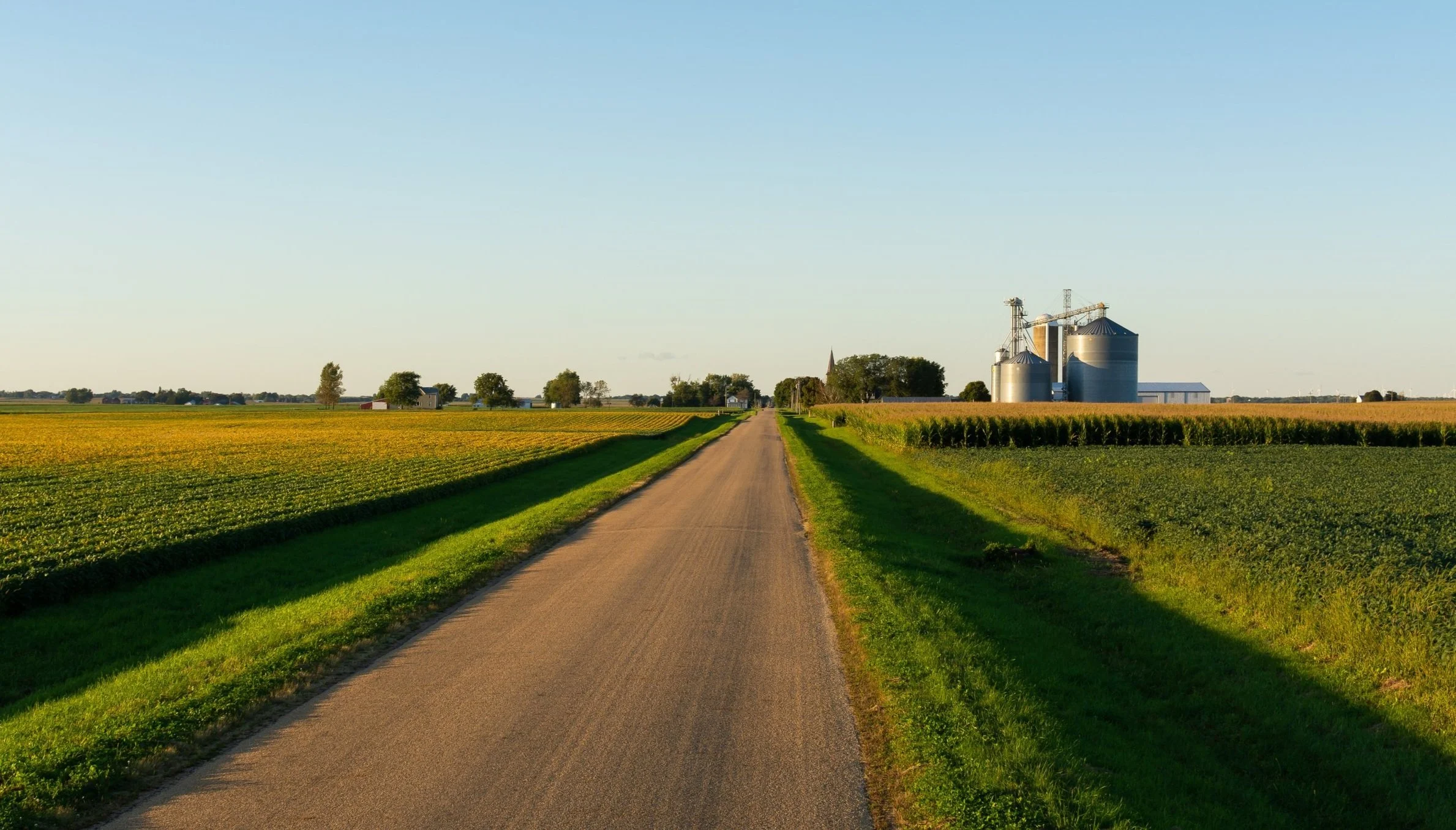 Case Study: Avoiding Capital Gains