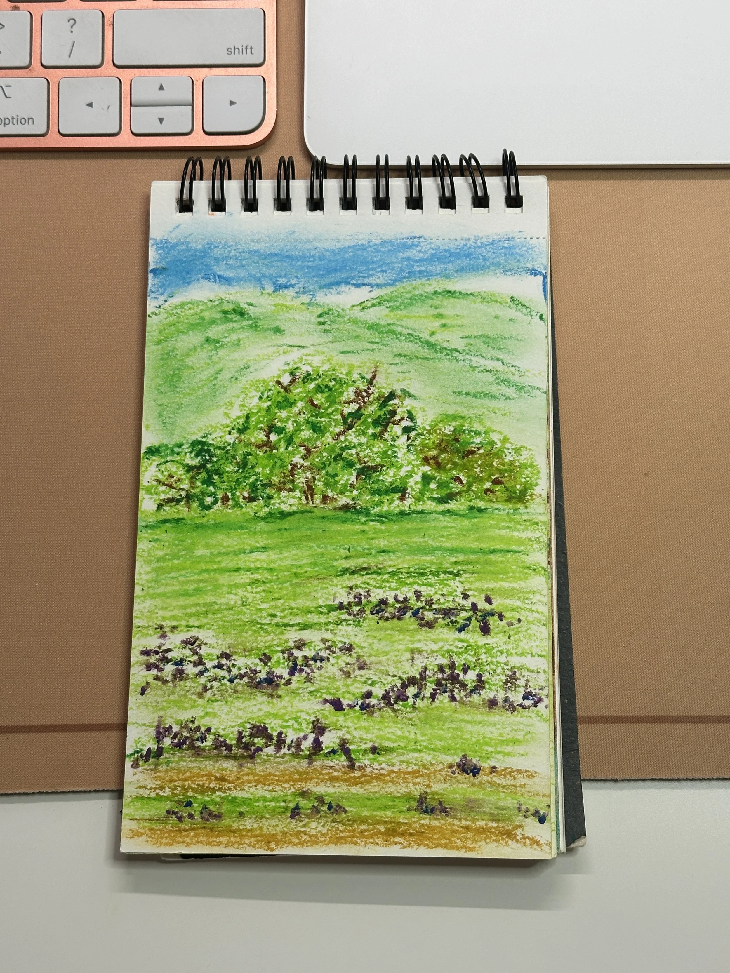 Ecological Musings: Foothills Park, Palo Alto, CA -- April 18th, 2025