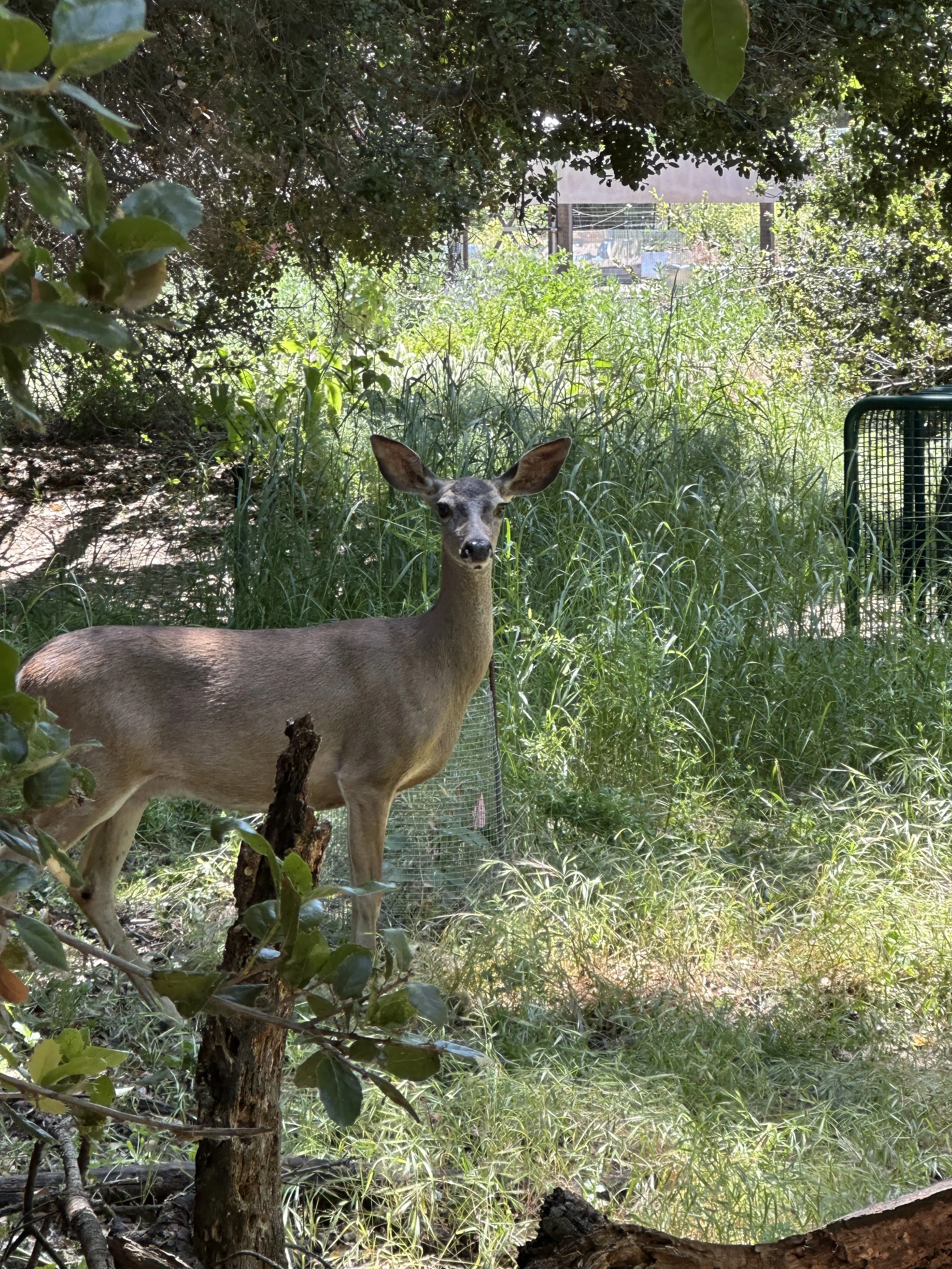 IMG_8586.JPG
