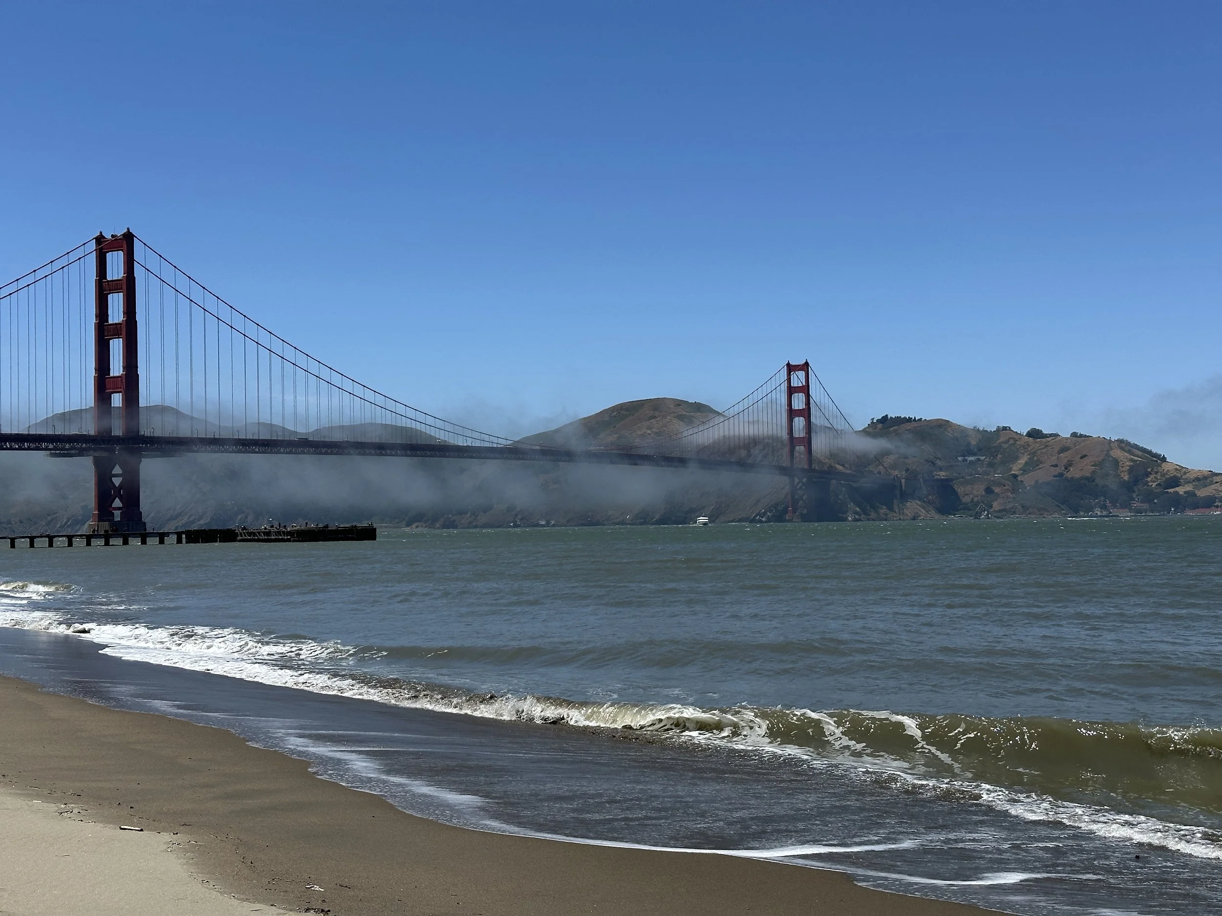 Ecological Musings: The Presidio, San Francisco, CA -- May 30th, 2025