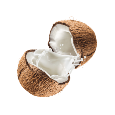 Thai Curry Coconut Chicken Soup