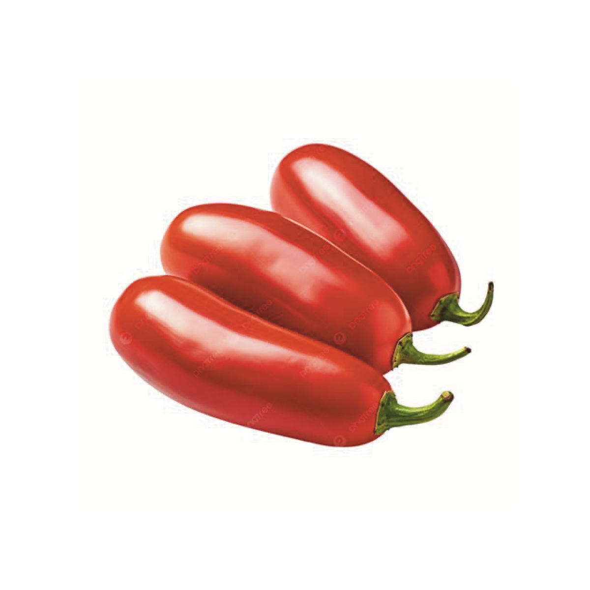 Tomato Basil Soup