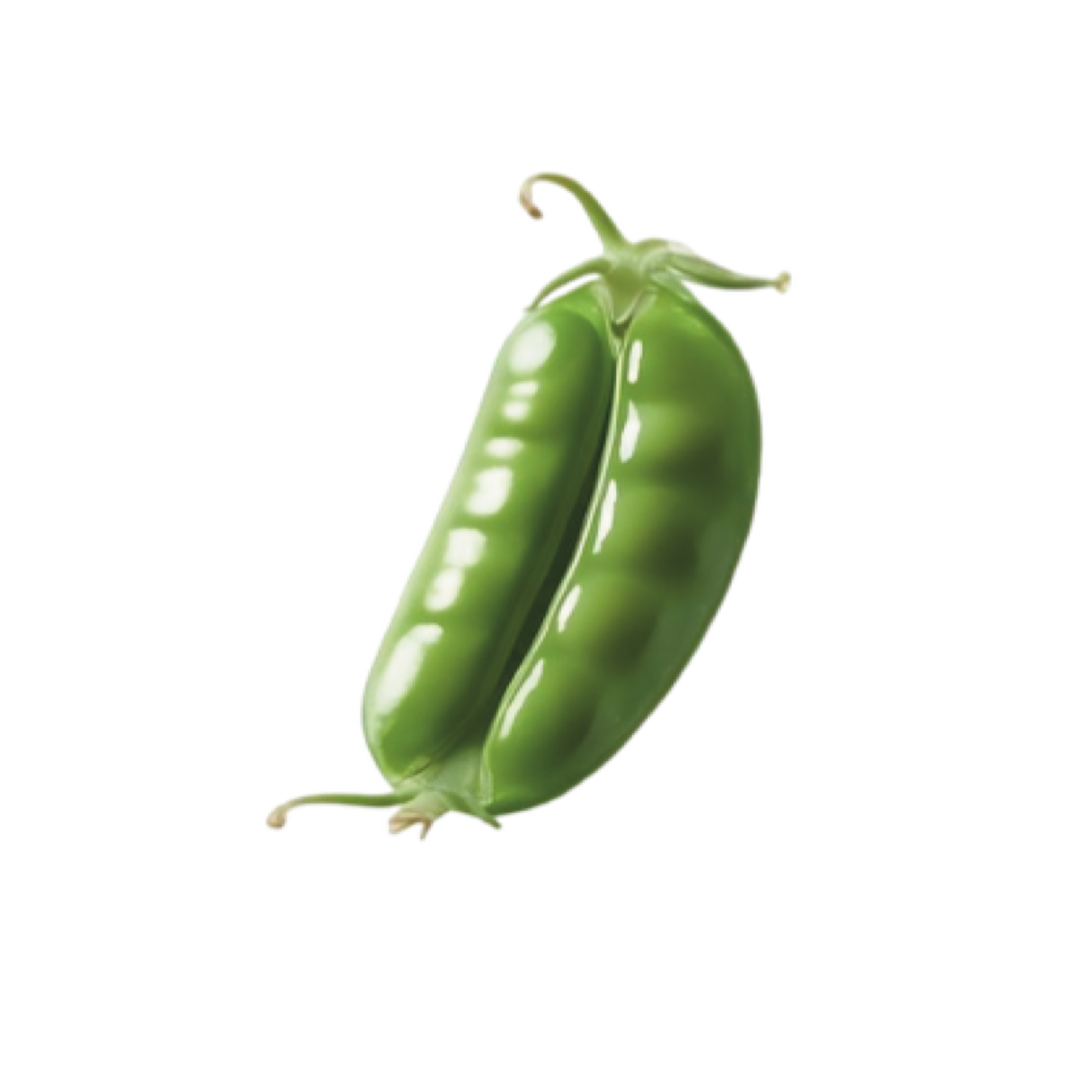 Pea Pod.png